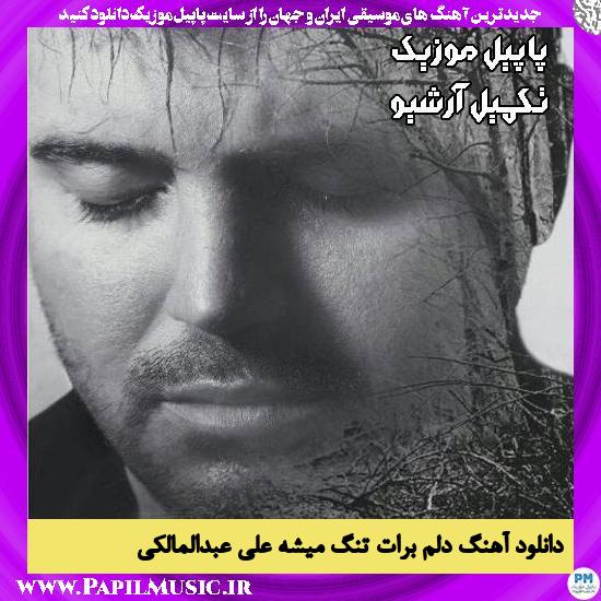 دانلود آهنگ دلم برات تنگ میشه از علی عبدالمالکی